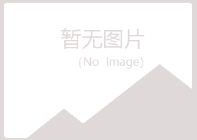 沁阳晓夏咨询有限公司